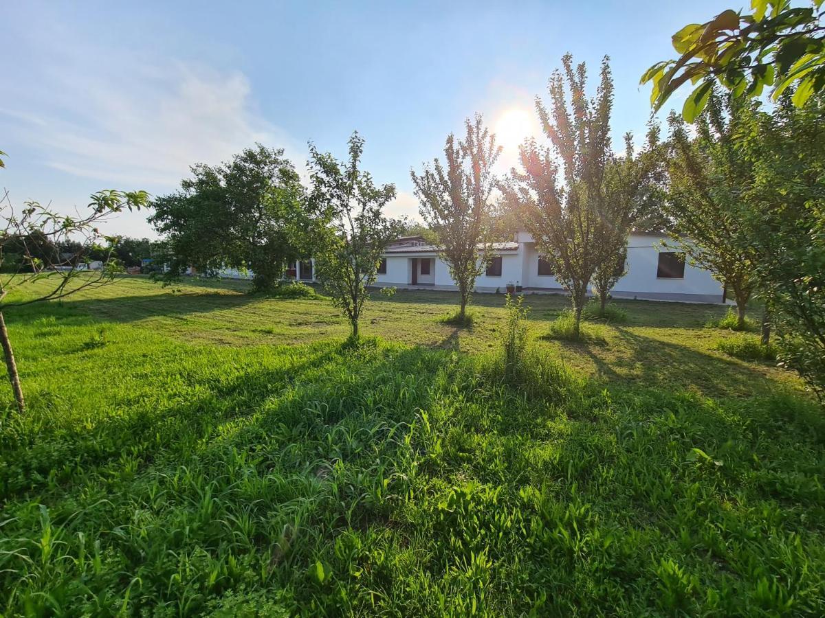 Вілла Agriturismo Ca Novak Venezia Спінеа Екстер'єр фото